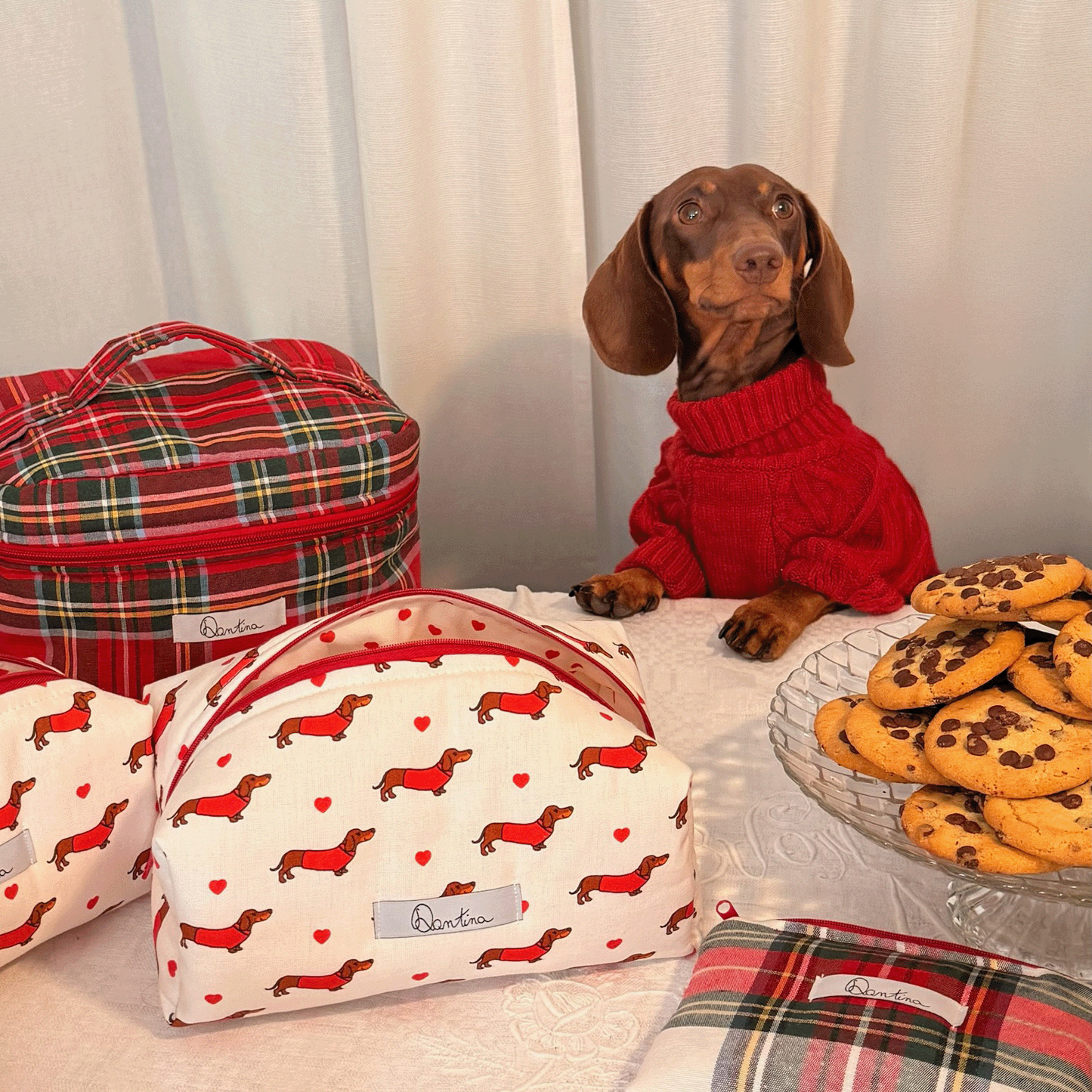 Medium Bassotto Poldo